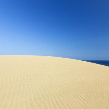 Torinakaguchi Rita Nakaguchi Github - Download Perfect Nature Image | Full HD