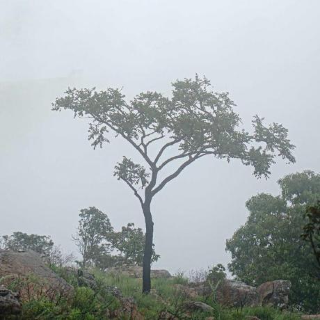 Acalabustos Ainhoa Github - Perfect Vintage Illustration - Mobile