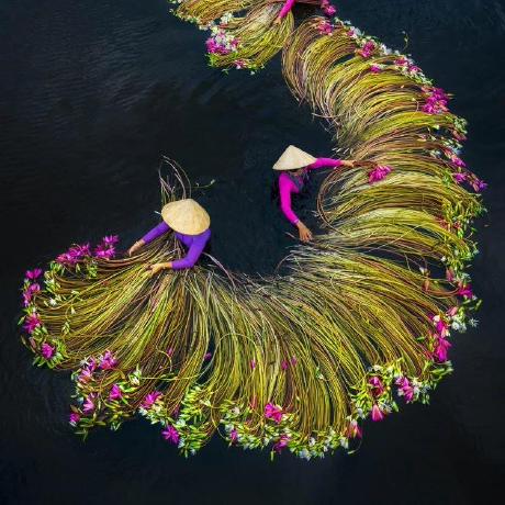 Itodo O Ochanya I Github