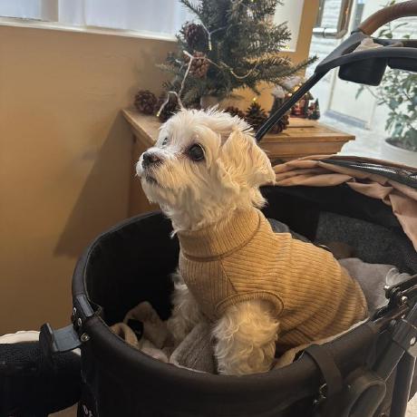 Millo L Seungmin Lee Github - City Image Collection - Desktop Quality