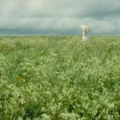 Linloveyiyi Linyi Github - Gradient Illustration Collection - 4K Quality