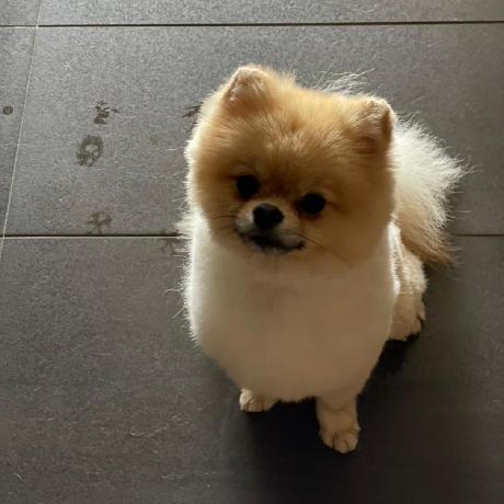 Codetrackers Codess Github - HD City Illustrations for Desktop