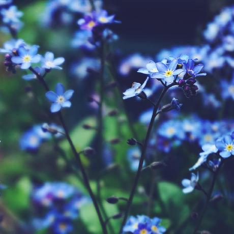 Ambikad04 Ambika Github - Best Vintage Designs in 4K