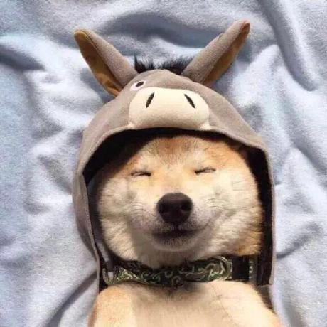 Github October2001 Awesome Kv Cache Compression Must Read Papers - Colorful Pictures - Elegant Mobile Collection