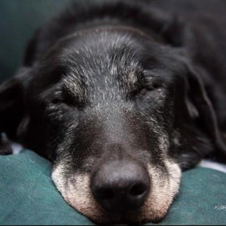 Github Freemed Freemed Freemed Electronic Medical Record Practice - Premium Vintage Photo Gallery - High Resolution