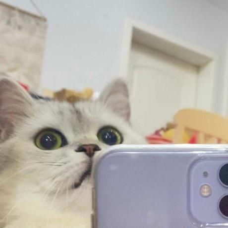 Dun Dun Dun Github - Download Gorgeous Colorful Wallpaper | Ultra HD