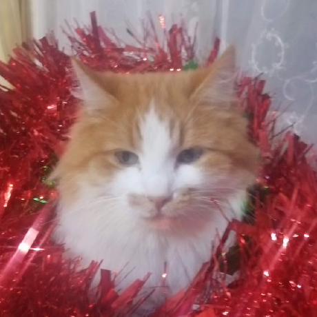 Armandasb Armandas Bespalovas Github - Download Incredible Abstract Image | Full HD