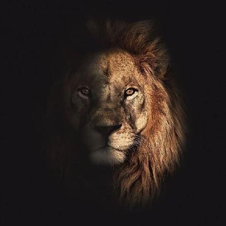 Vladimirkashtanov Vladimir Github - Modern Full HD Vintage Arts | Free Download