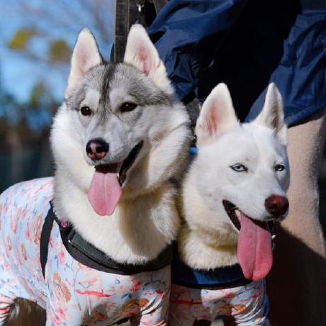 Ryoya Sekine Github - High Quality 4K Space Images | Free Download