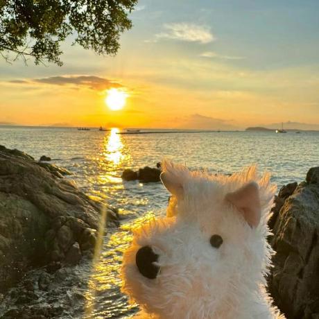 C Plusone Github - Ocean Photo Collection - 8K Quality