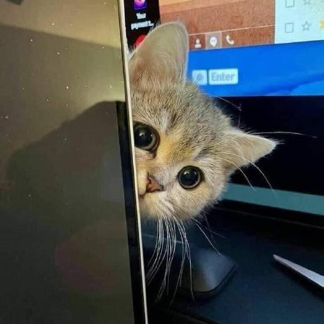 Nourhanali10 Nourhan Github - 8K Minimal Illustrations for Desktop