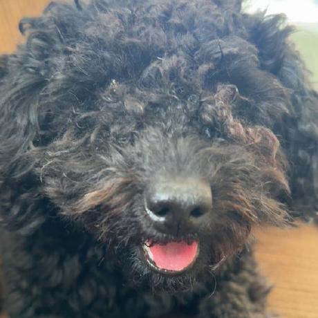 Moonheart08 Moony Github - Mountain Illustration Collection - Ultra HD Quality