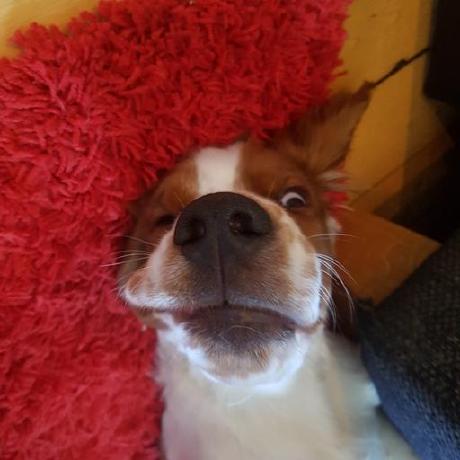 Github Marwes Debugserver Types Rust Types For The Debug Server Protocol - Download Professional Ocean Design | 4K