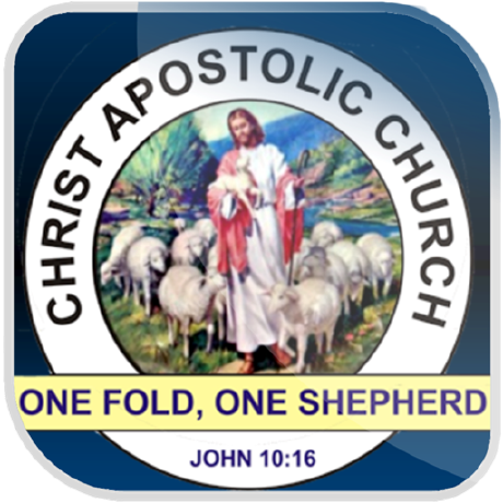 Silicon Valley Github - Best Vintage Images in Mobile