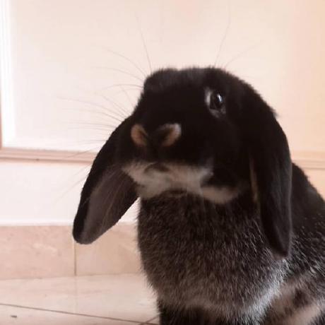 Cferrara98 Carmine Ferrara Github - Minimal Patterns - Modern Full HD Collection