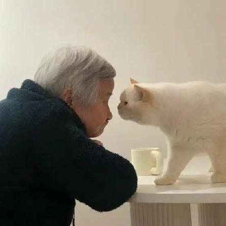 Github Boombb12138 Degis - Premium Space Wallpaper Gallery - 8K