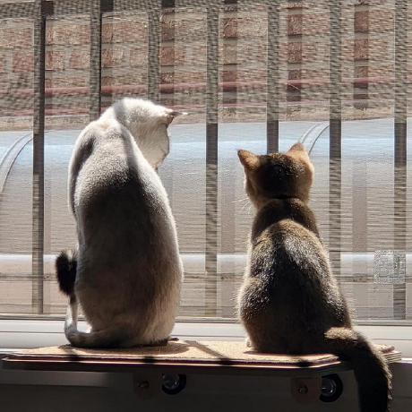 Woo Hyun Choi Github - Best Mountain Patterns in HD