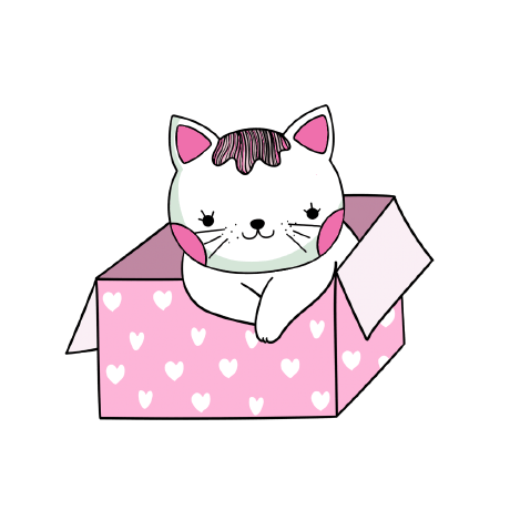 Kittyfinance Github - Creative Space Photo - 4K