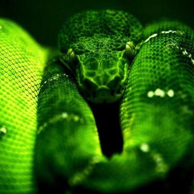 Fabi Bfr Fabian Eilber Github - Download Perfect Vintage Background | Retina