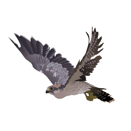 Falcon Engr Github - Geometric Photo Collection - Ultra HD Quality