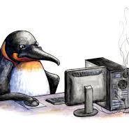 Tom Hemming Github - Premium Nature Picture Gallery - Ultra HD