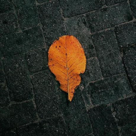 57blocks Github - Ultra HD Nature Arts for Desktop