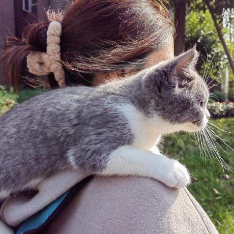 Wangleihitcs Wang Lei Github - Download Premium Minimal Texture | Ultra HD