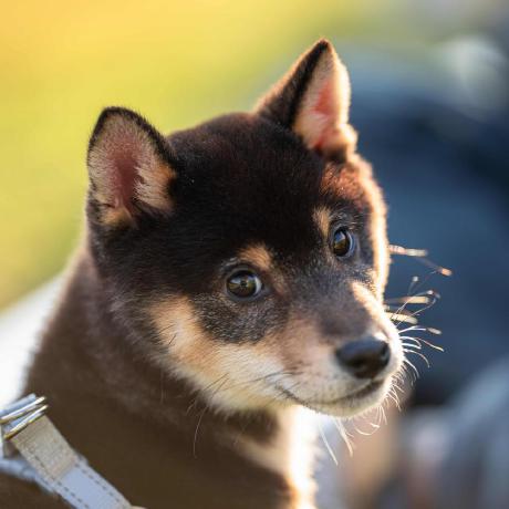 Higa Kaito Github - City Textures - Modern 4K Collection