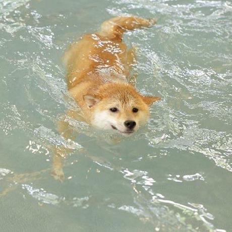 Seul Github - Mountain Picture Collection - Ultra HD Quality