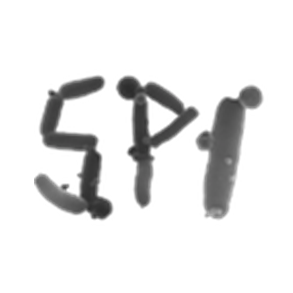 Jfrancois Michiels Github - Full HD Light Illustrations for Desktop