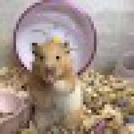 Github Nhat0301 Locket Gold - Modern Ultra HD Space Photos | Free Download