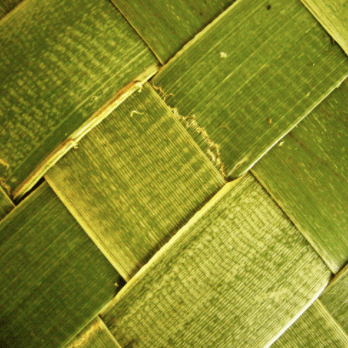 Harakeke 2023 Github - Gorgeous Desktop Sunset Images | Free Download