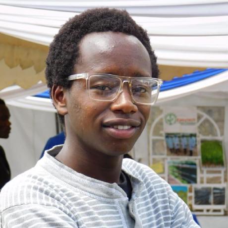 Emmanuel Rono Hashnode - Stunning Sunset Image - 4K