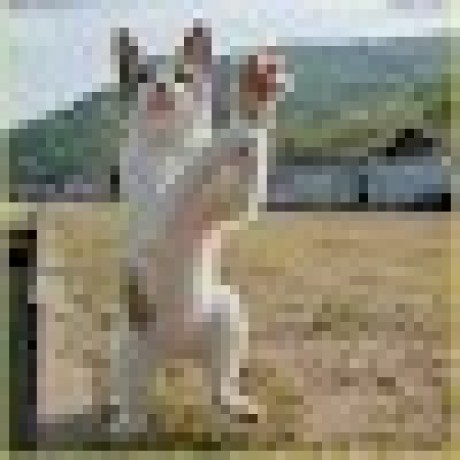 Beajousama Beaj Ousama Github - City Wallpaper Collection - Retina Quality