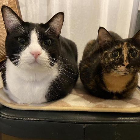 Iha Siv Github - Full HD Minimal Textures for Desktop