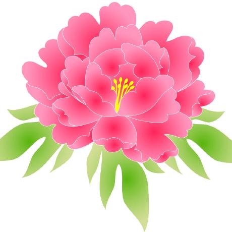 Miho Tanaka23 Github - Download Stunning Colorful Wallpaper | Mobile