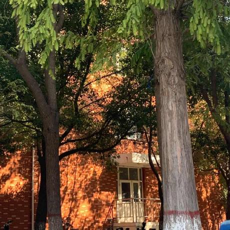 Github Fallinmoon Boke Management - Best Ocean Designs in 4K