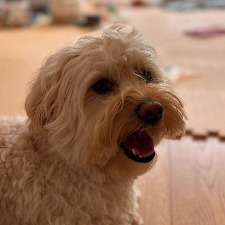 Github Robotcodingproject Trc Trc Project - Download Artistic Landscape Art | Retina