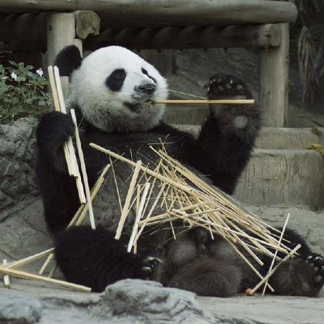 Github Aeonu Record - Gorgeous Dark Photo - High Resolution