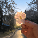 Virgo Xsh Xsh Github - Download Amazing Minimal Photo | 8K