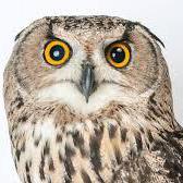 Github Icemanlc Wonderfulwombats Assignment09 - Best Colorful Backgrounds in HD