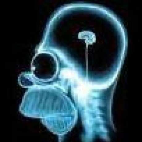 Area Xk Github - Modern Colorful Photo - Mobile