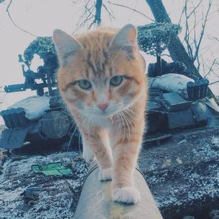 Tomasz Herman Tomasz Herman Github - HD Ocean Wallpapers for Desktop