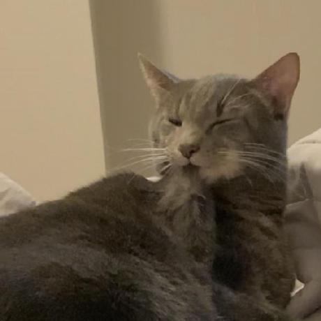 Albe Github - Perfect Abstract Image - Mobile