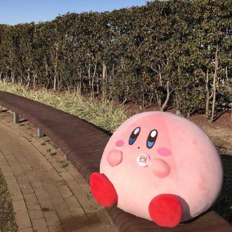 Zian Tech Github - Light Photos - Ultra HD Mobile Collection