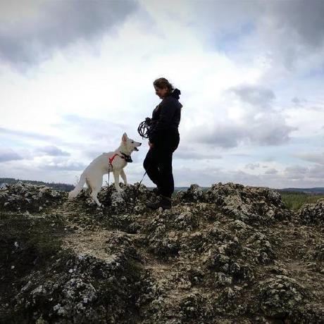 Wildwolf Team Github - Download Ultra HD Abstract Background | 4K