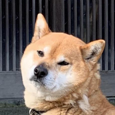 Dog Chu Github - Premium Vintage Wallpaper Gallery - Full HD