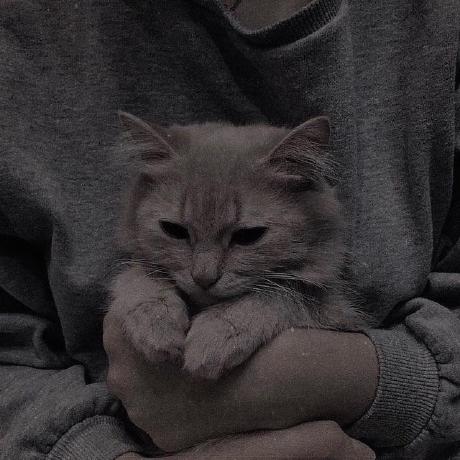 Github Yash7001 Wanderlust - Gradient Arts - Perfect Mobile Collection