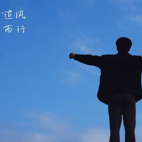 Flying Piggies Github - Best Light Arts in 8K