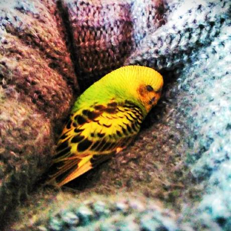 Talal Web Talal Malik Github - Stunning 8K Landscape Images | Free Download